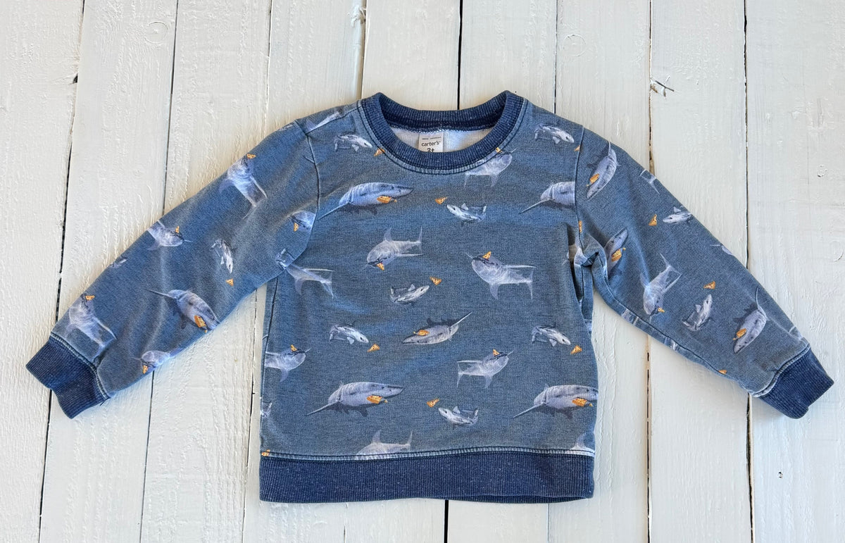 Carters Sweater - 3T