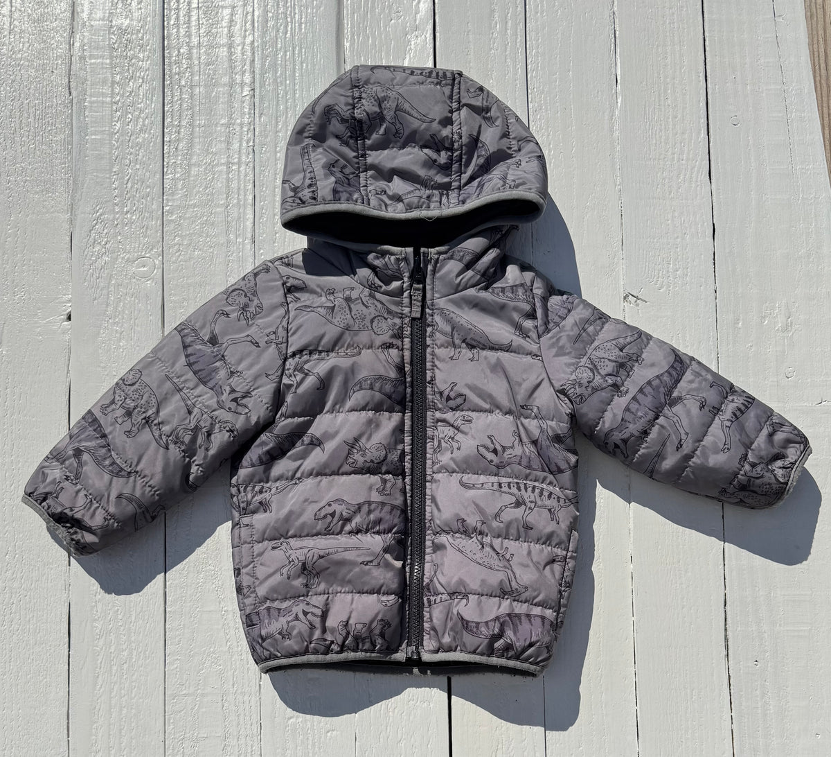 Carter's Coat - 24M