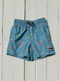 Quicksilver Swim Trunks - 5/6