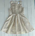 Nordstrom Dress - 8/10
