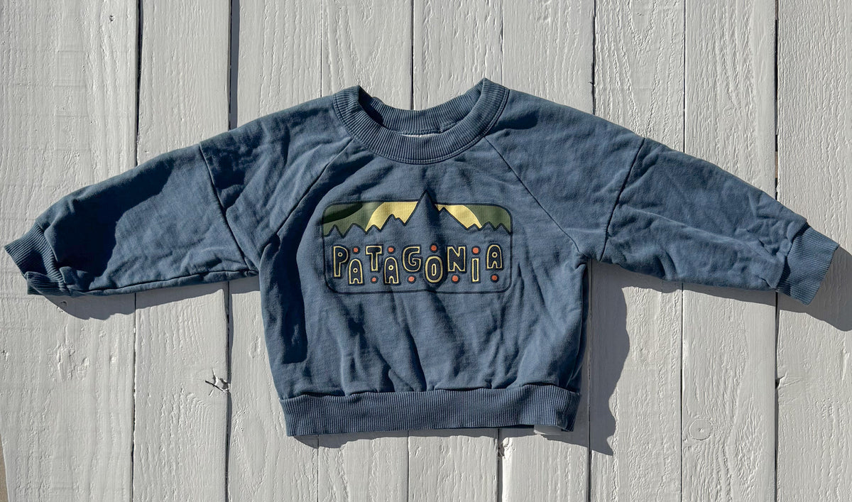 Patagonia Sweater - 2T