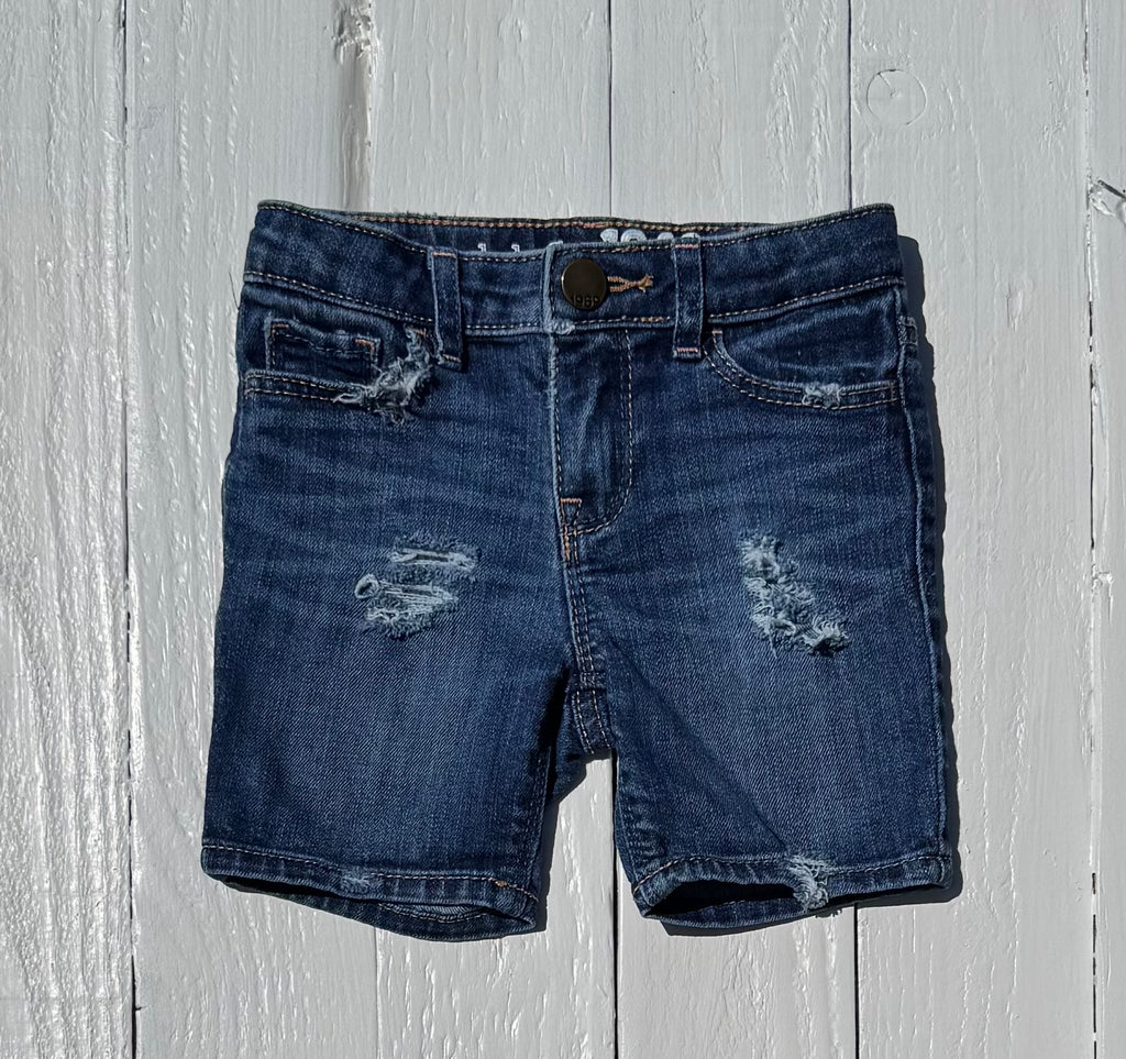 Gap Shorts - 18-24M