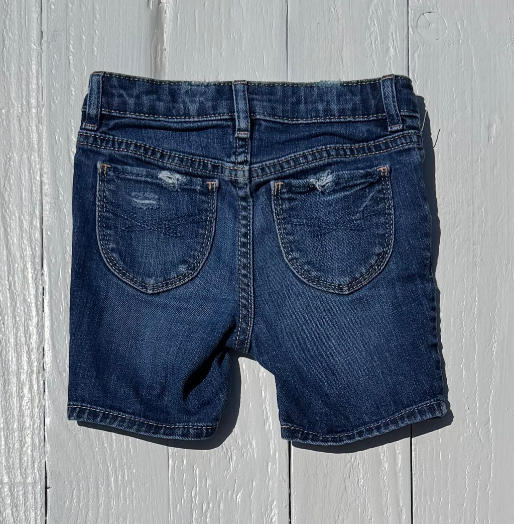 Gap Shorts - 18-24M