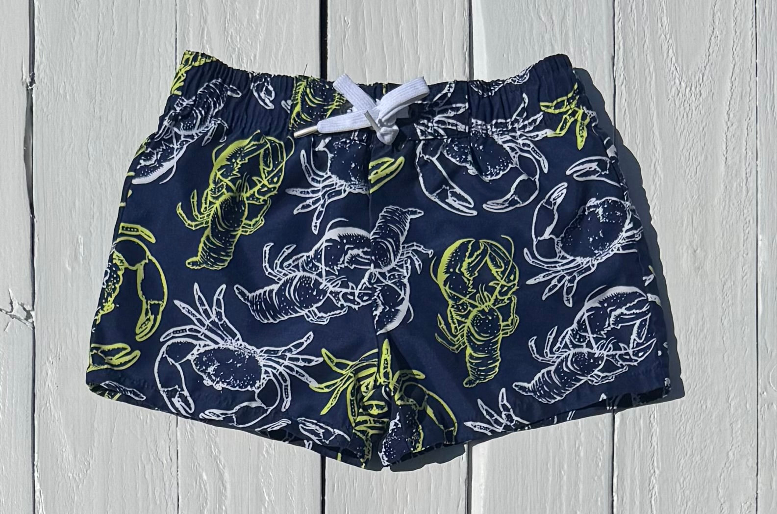 Flapadoodle Swim Trunks - 12M