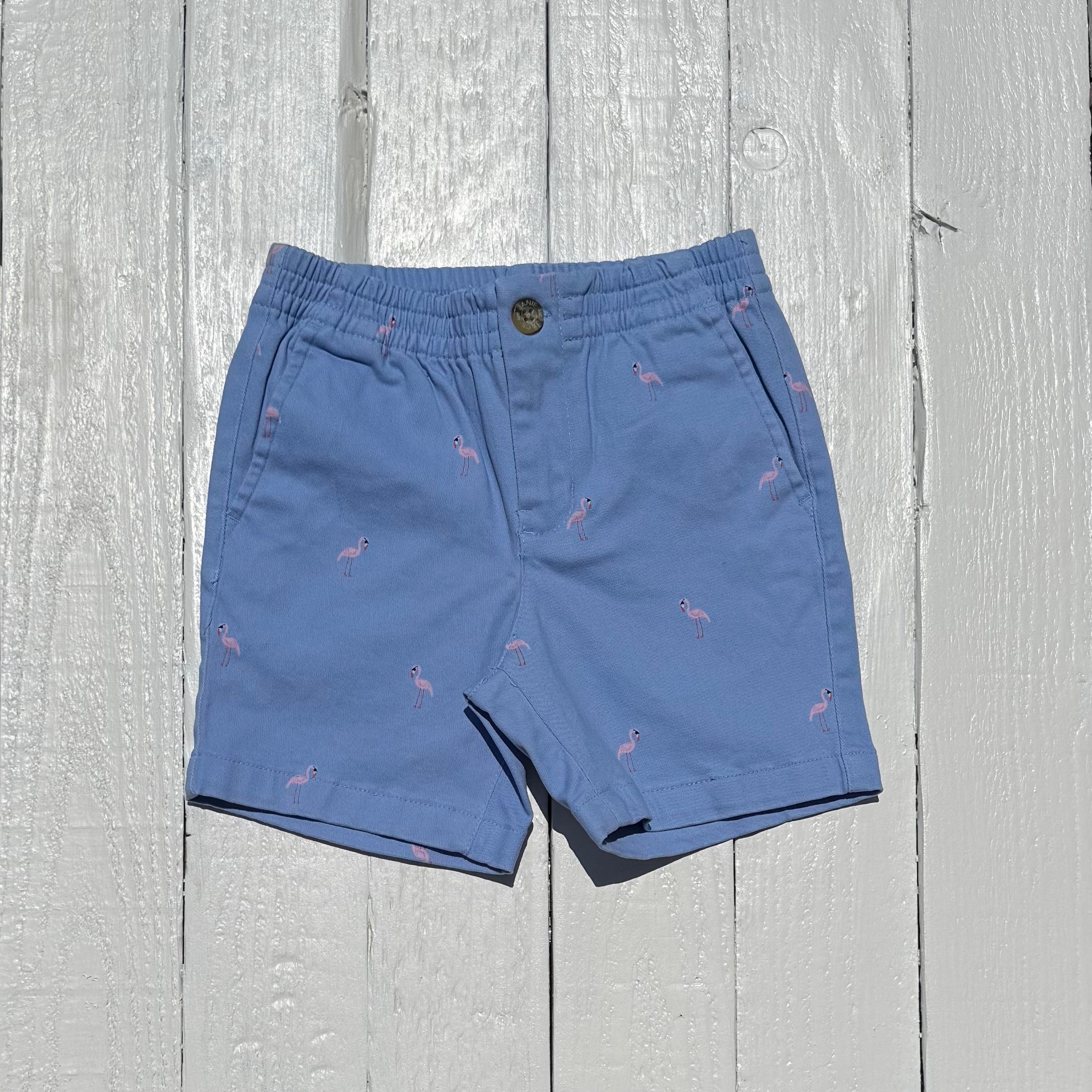 Janie and Jack Shorts - 3T