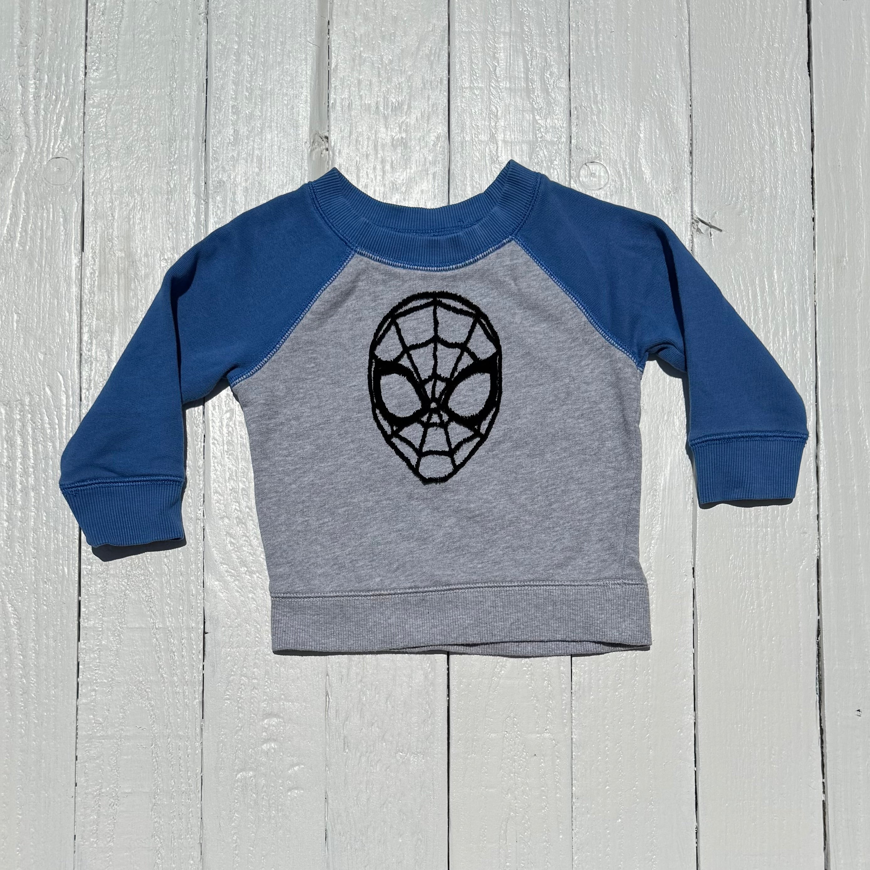 Hanna Andersson Sweatshirt - 18-24M