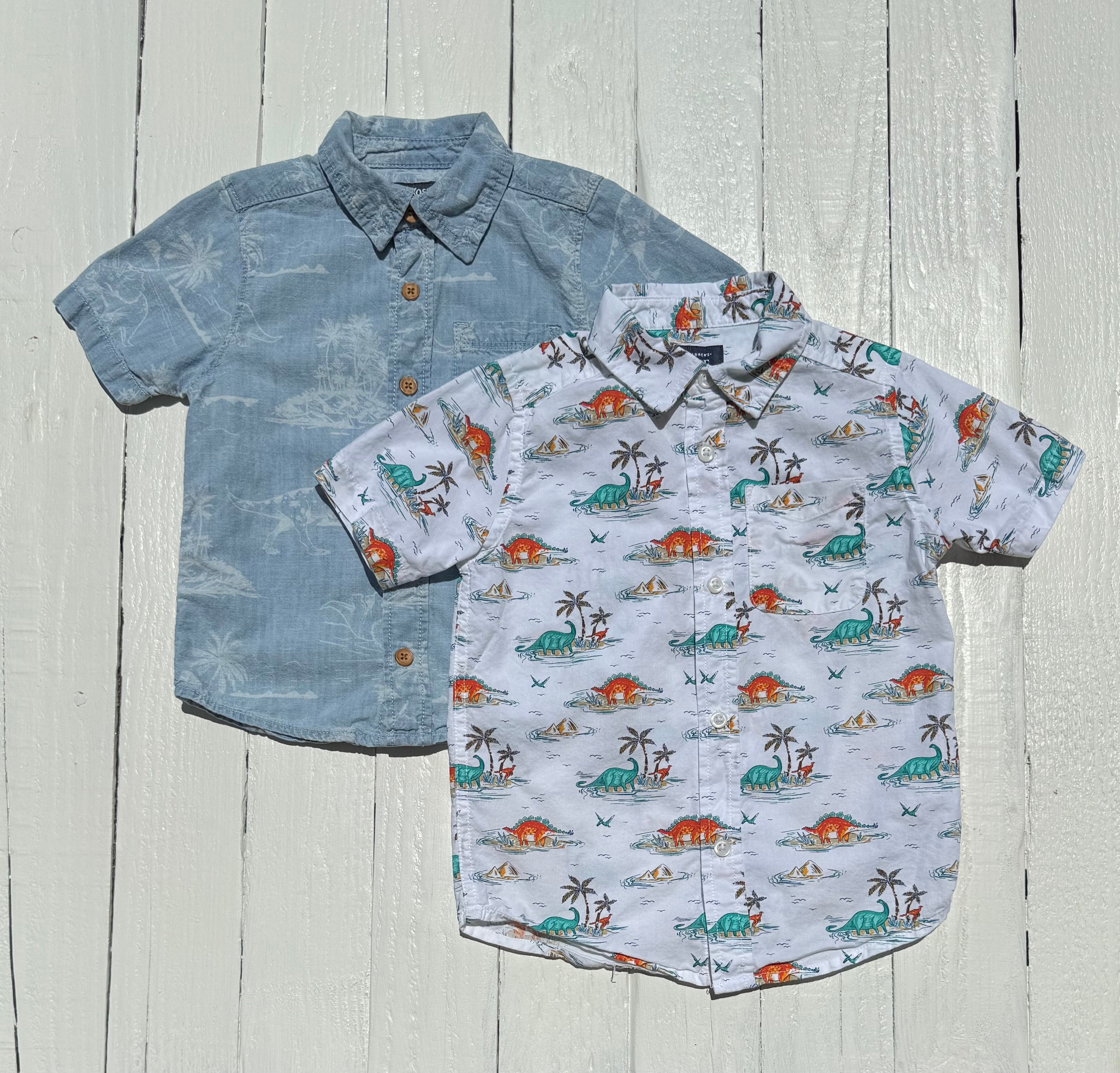 The Children's Place Shirts - 4T